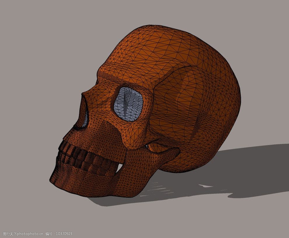 头骨3d模型图片