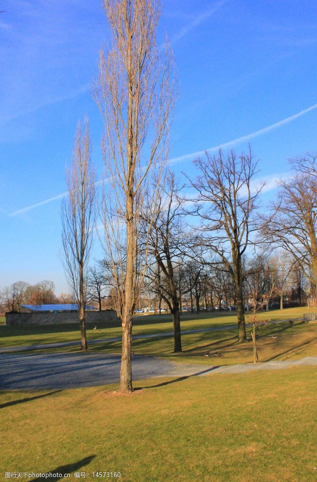 关键词:德国风景摄影 德国风景 树木 草地 蓝天 景观 天空 国外旅游