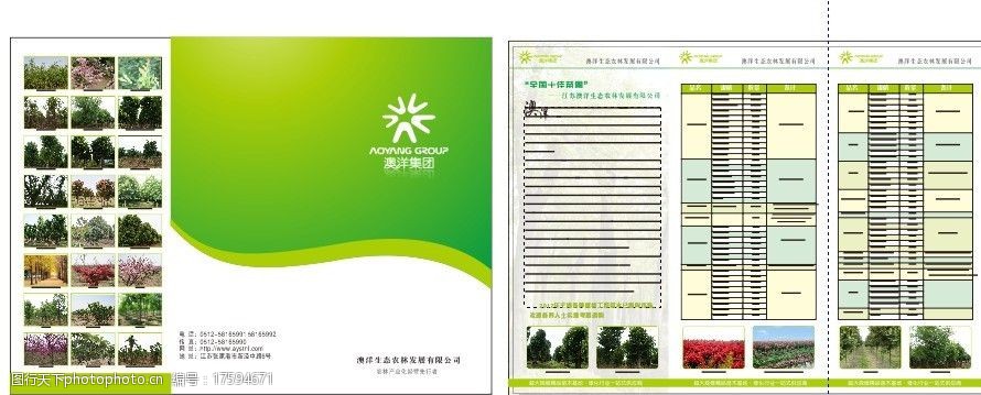 树苗宣传单页图片