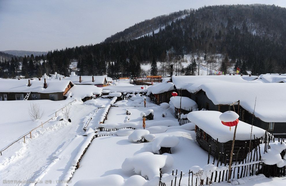 冬天的雪景图片