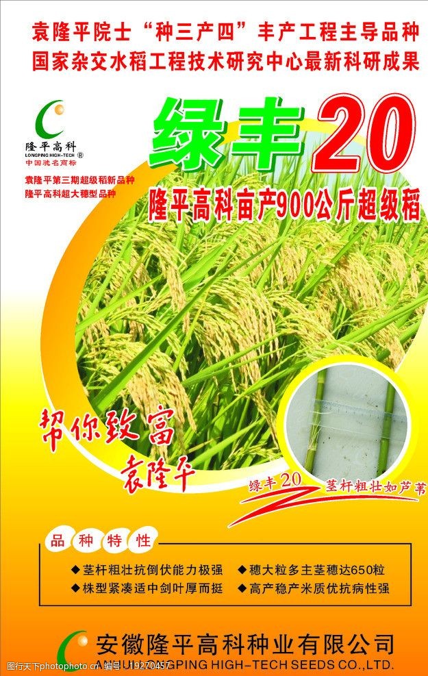 水稻种子水稻种子包装设计绿丰20图片