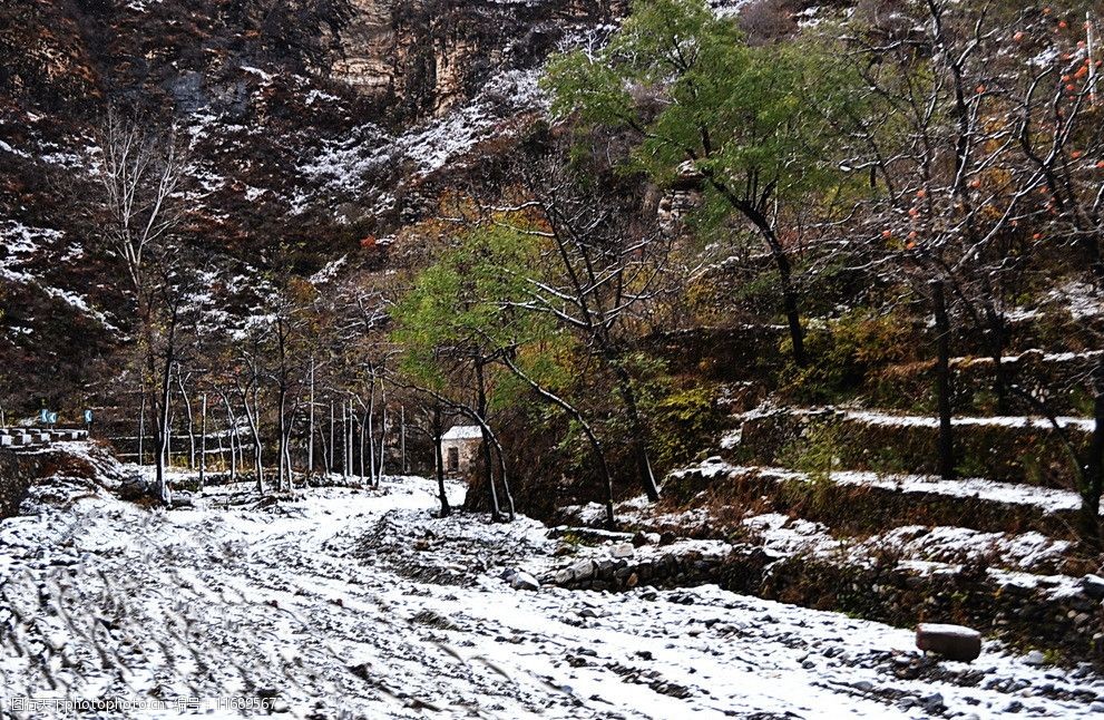 泗沟的薄雪图片