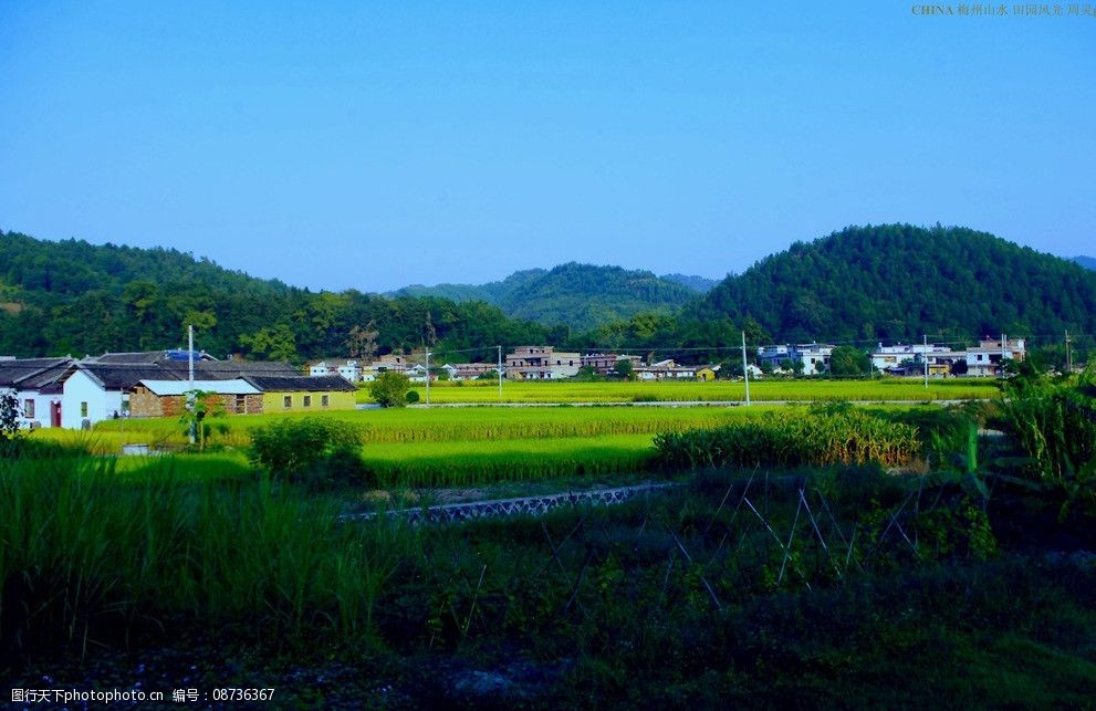 乡村田园风光图片