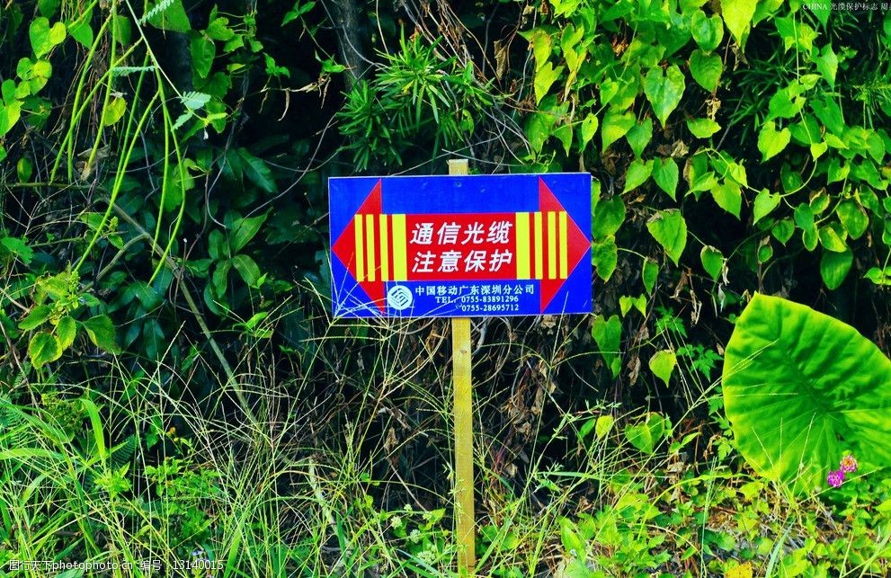 通信建设光缆标志牌图片