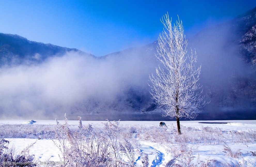 关键词:青山湖雾凇 银树 雪地 雪景 冬天 山峦 雾气 蓝天 自然风景