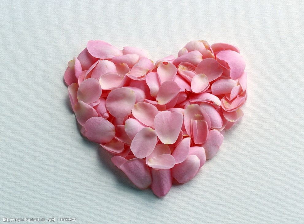 高清心型图片粉红花瓣