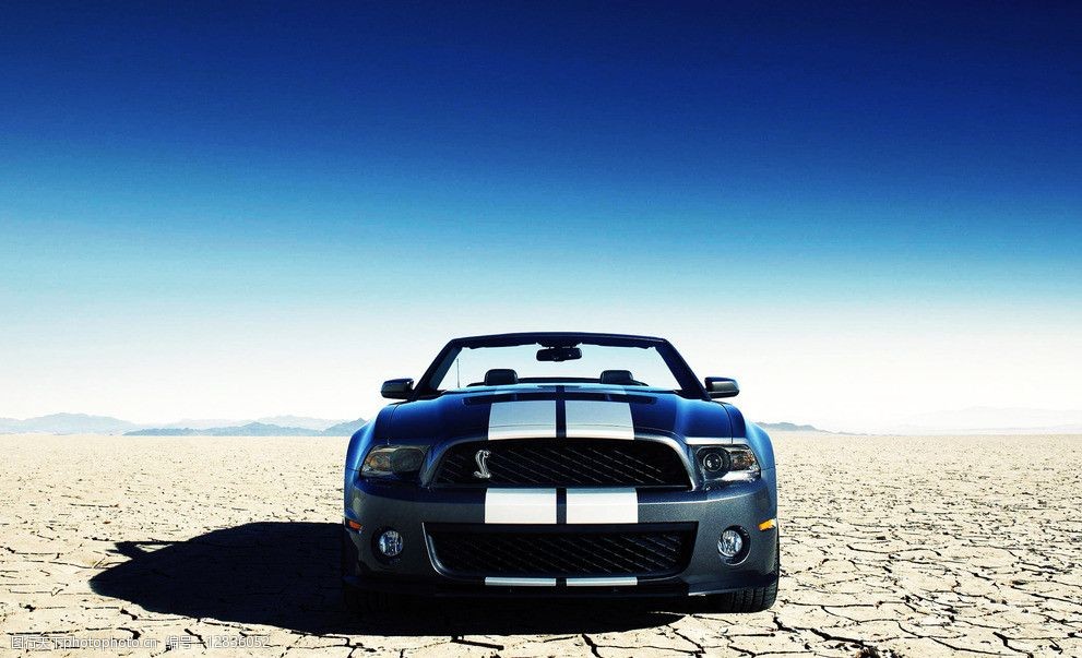 2013款福特野马图片