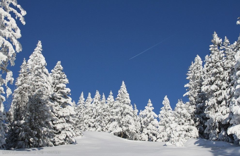 关键词:冬日雪景 冬雪 雪地 蓝天 山水风景 自然景观 摄影 72dpi jpg