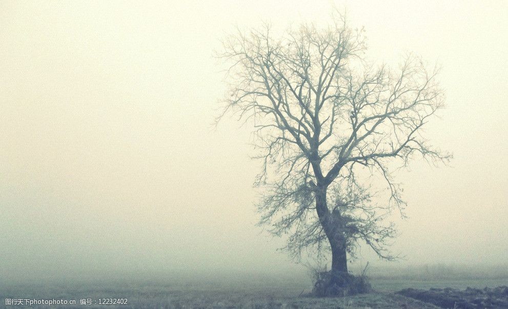 大雾弥漫唯美雾境高清图片