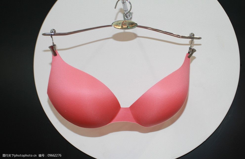 关键词:红色文胸 内衣 文胸 生活素材 生活百科 摄影 72dpi jpg