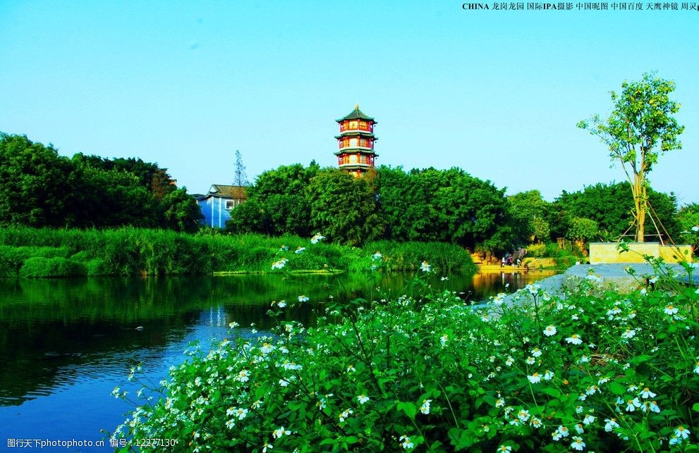 龍崗龍園公園風景圖片