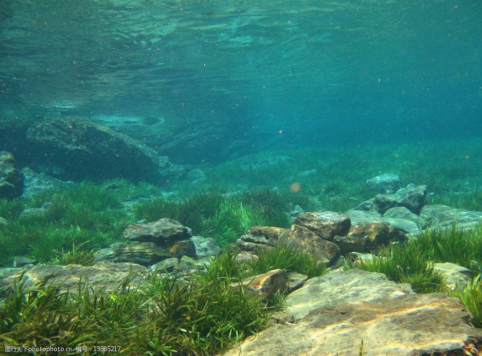 海底景观图片