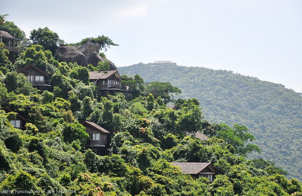 海南鸟巢森林公园半山木屋图片