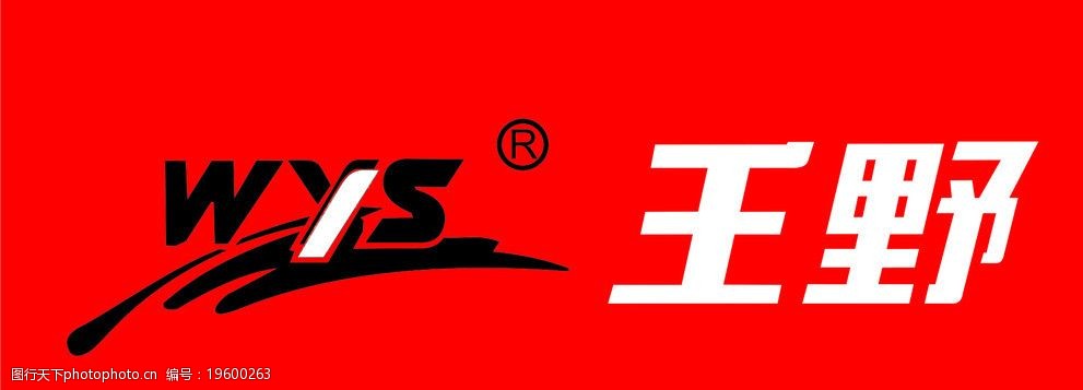 王野电动车图片