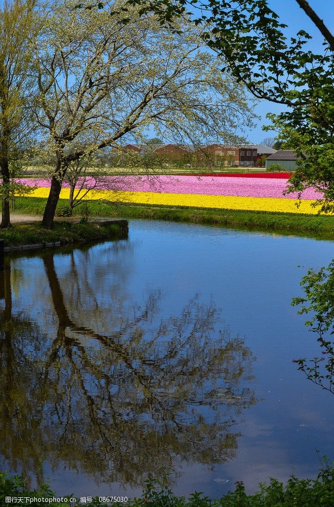 唯美鲜花田园风光图片图片-图行天下图库
