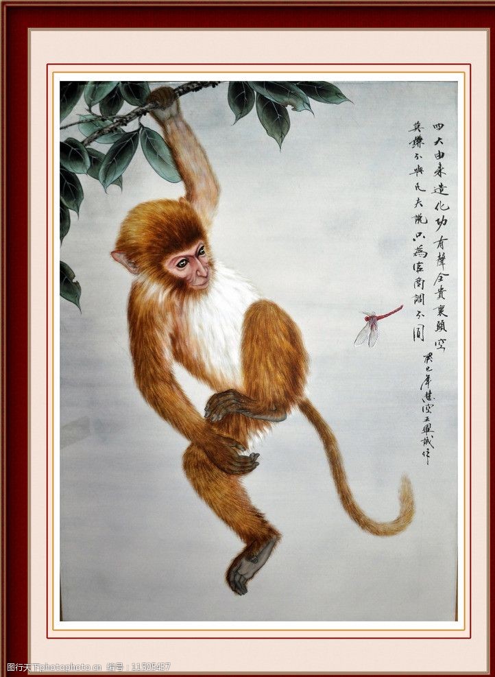 工笔画可爱猴子图片图片