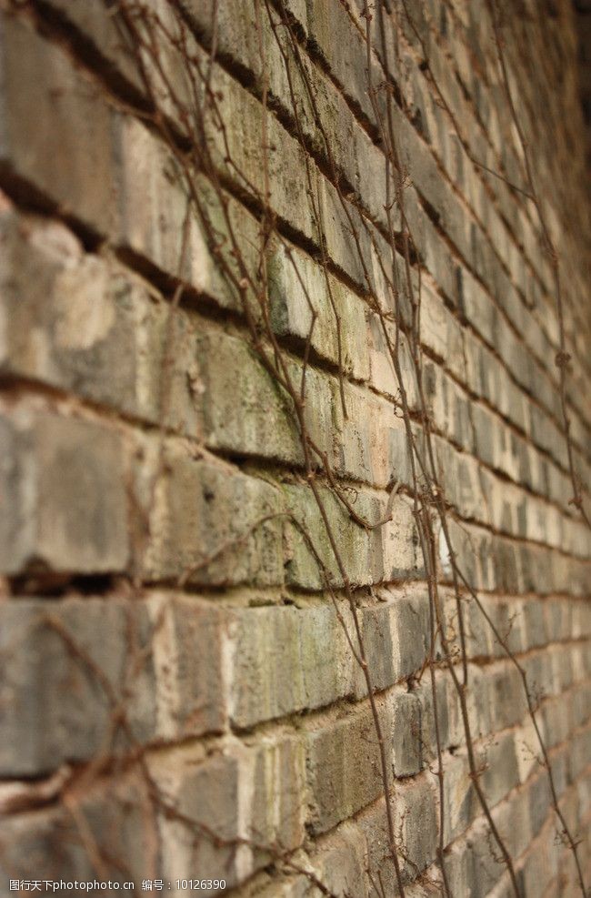 关键词:景深摄影 摄影 景深 墙壁 墙面 砖头 爬山虎 岁月 痕迹 其他