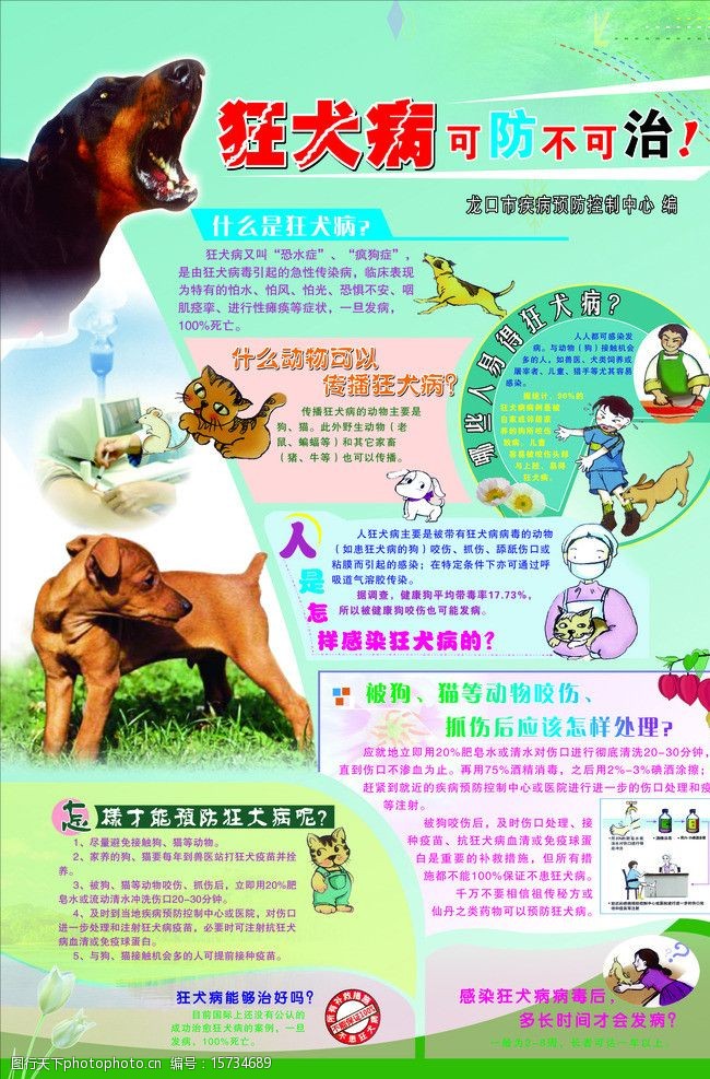 狂犬病宣传画图片