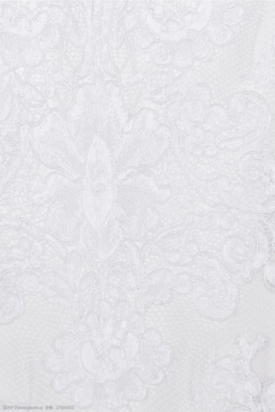 蕾丝 免费素材 实物面料 蕾丝 面料图库 服装图案 免费下载 白色
