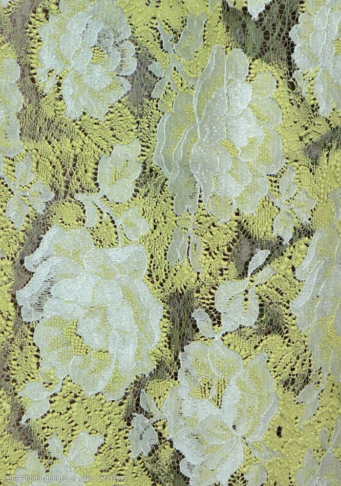 实物面料蕾丝免费素材