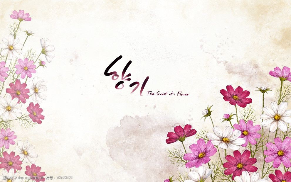 关键词:韩式花纹 婚纱花纹 花纹 树叶素材 树素材 背景素材 psd分层