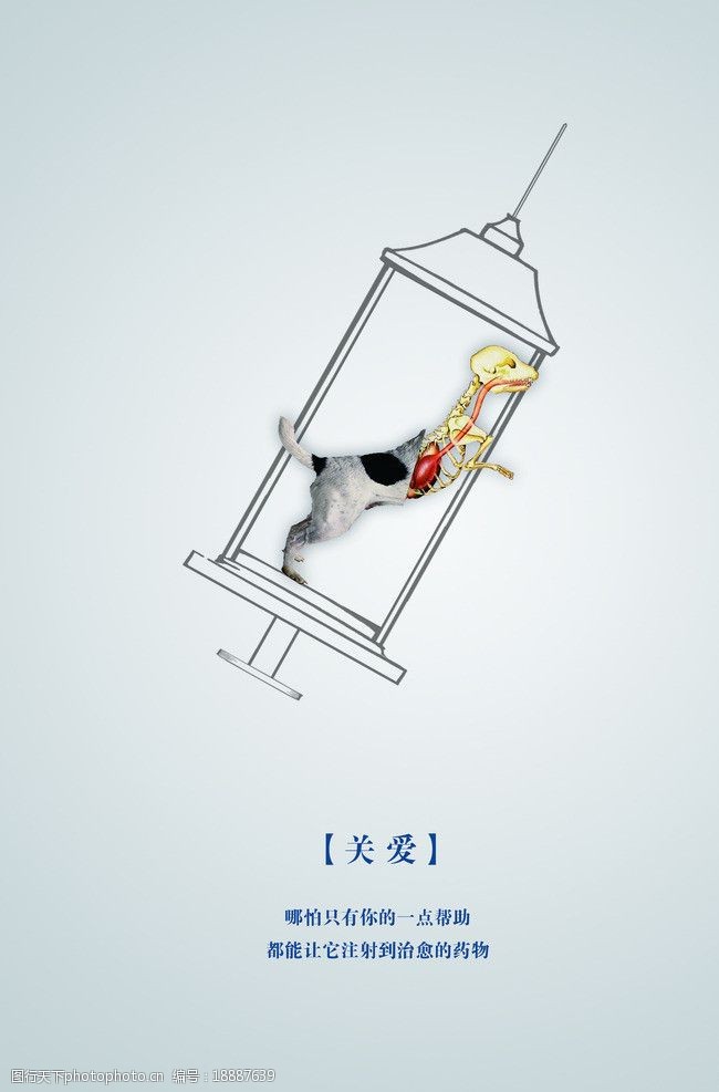 关爱流浪狗公益海报 针筒 流浪狗 关爱 公益 狗结构 海报设计 广告
