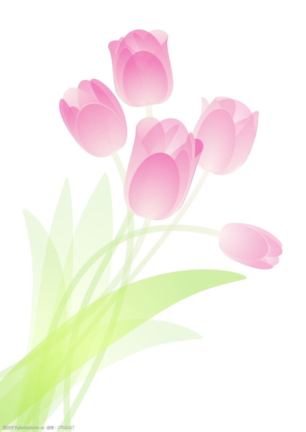 粉红色的郁金香花束向量