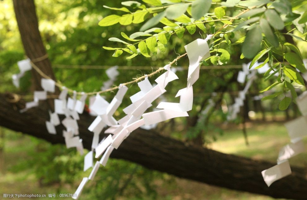 日本巫女用御币图片