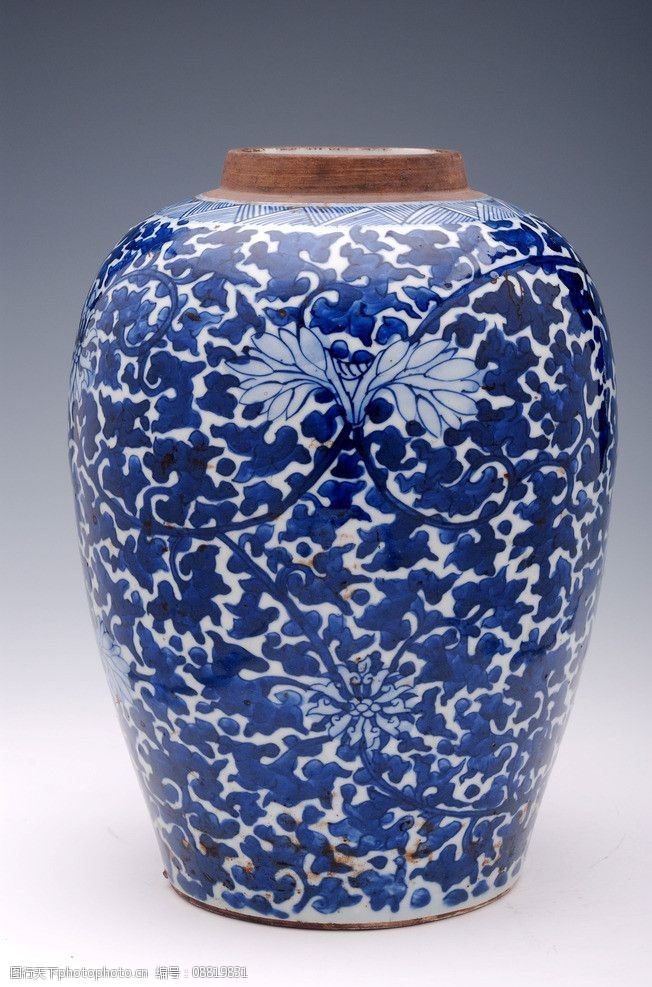 清康熙青花缠枝花纹罐图片