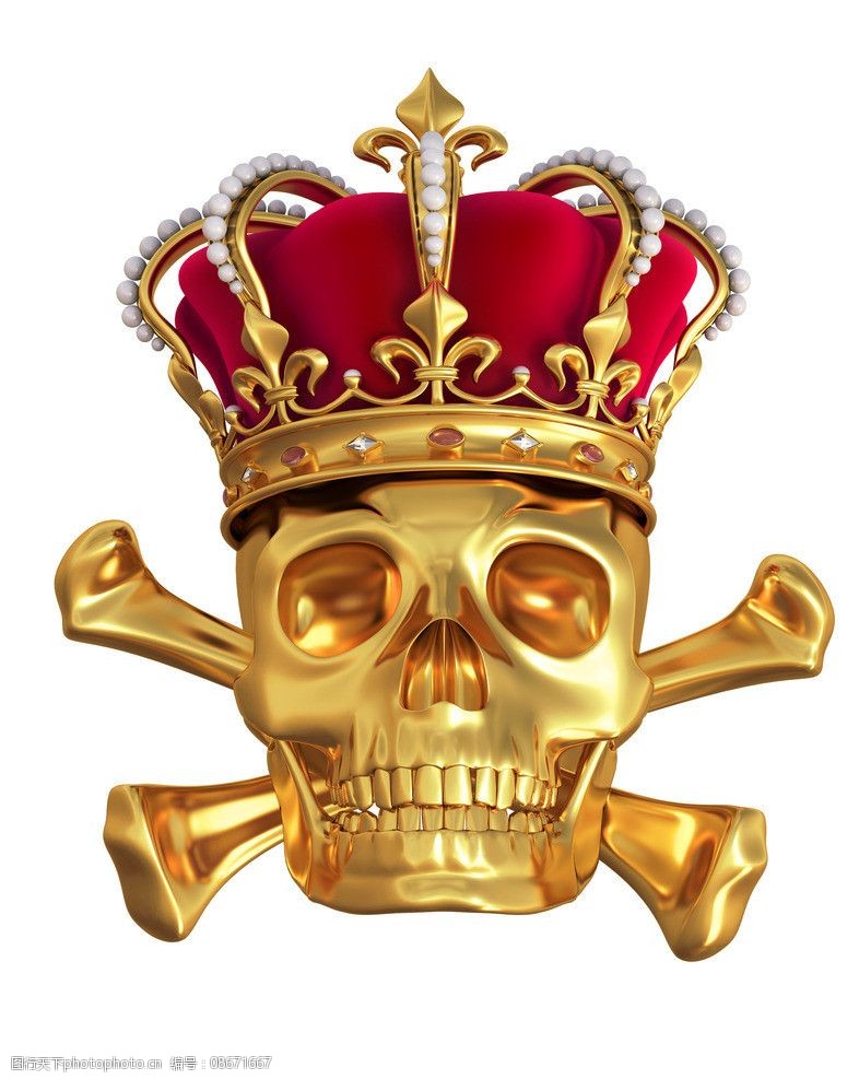 黄金骷髅图图片