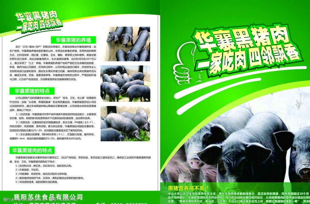 关键词:华襄黑猪肉 宣传单 绿色背景 黑猪营养 食品有限公司 广告设计