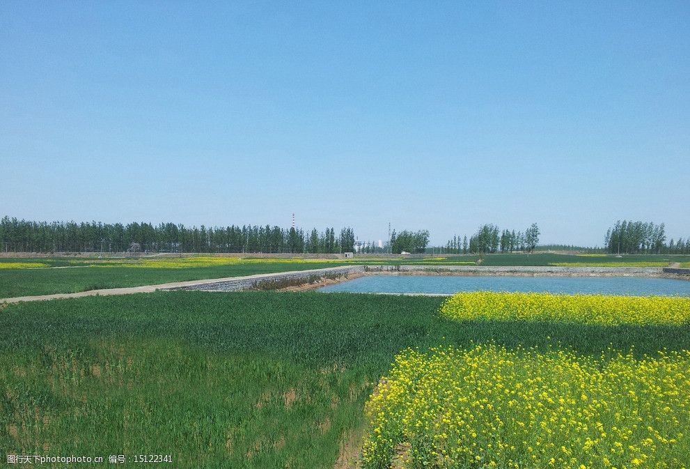 關鍵詞:田園風景 小麥 水庫 藍天 綠草 黃花菜 背景素材 自然風景