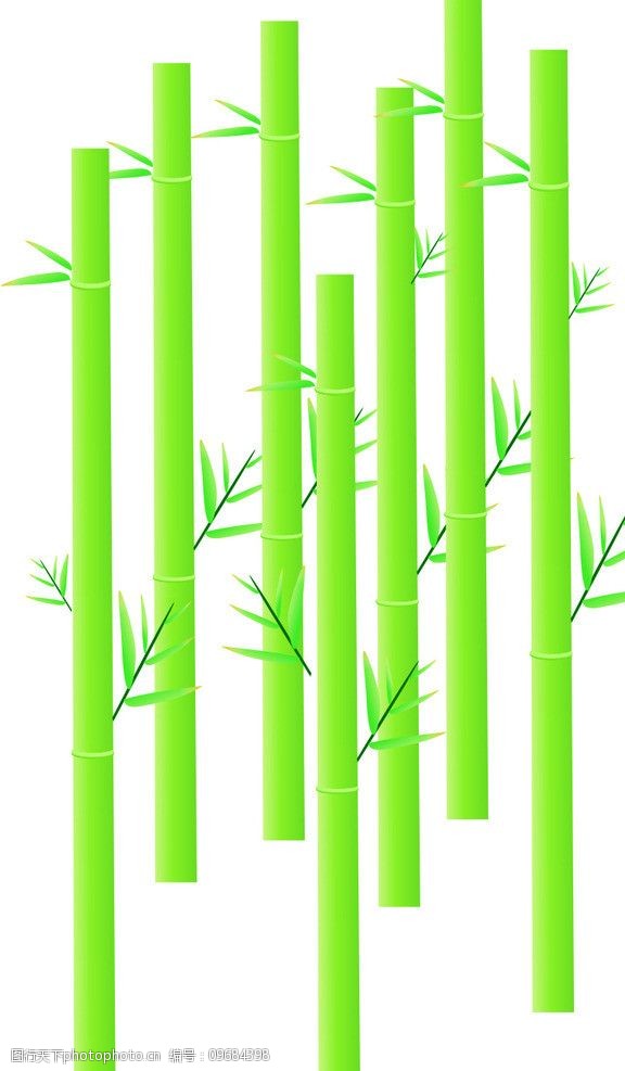 绿色竹子图片
