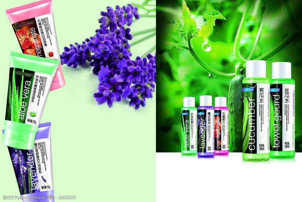 真丽斯洁面乳图片