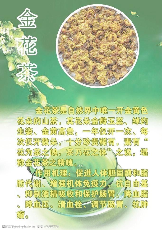 金花茶图片