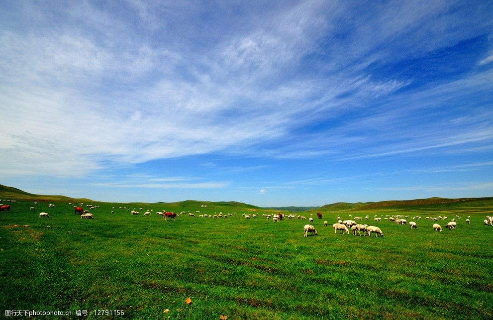 草原蓝天图片
