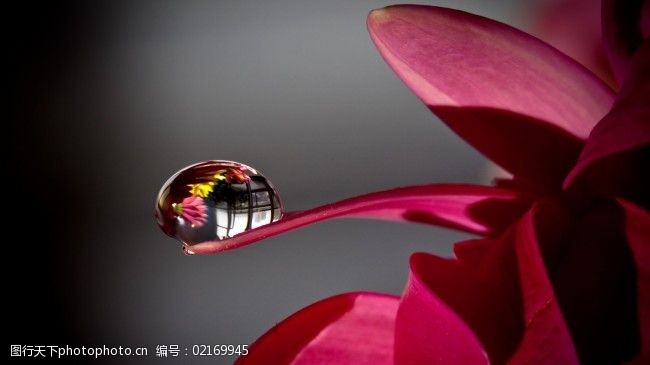 唯美意境晶莹水滴