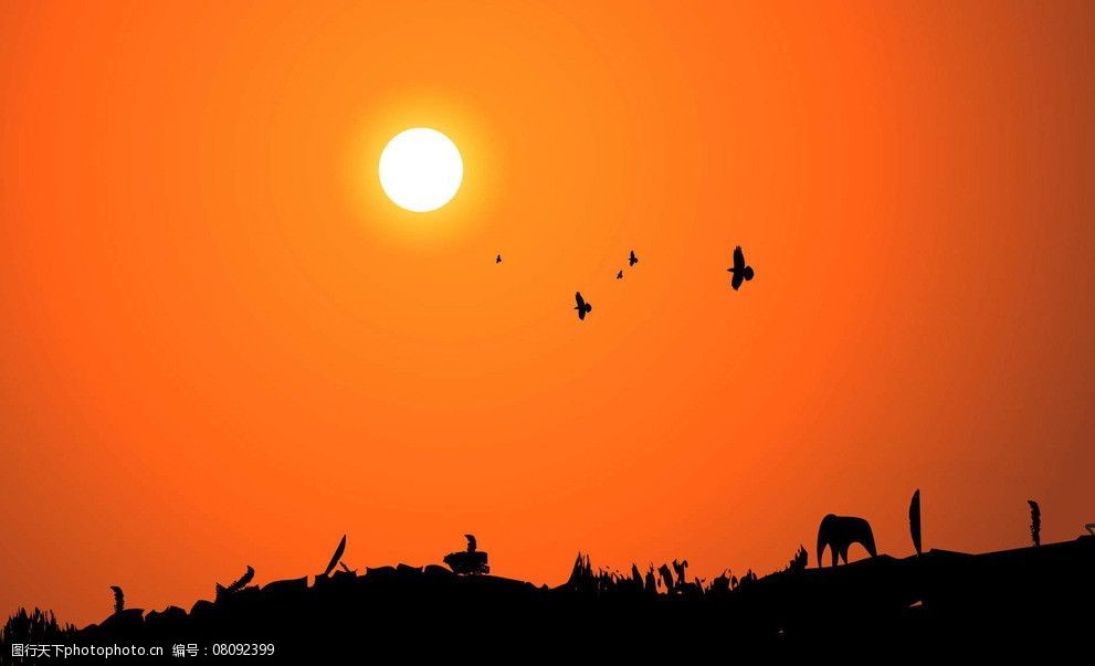夕阳剪影图片