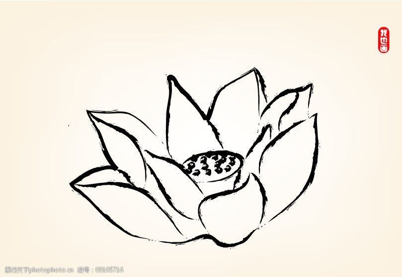 佛教莲花手绘图片