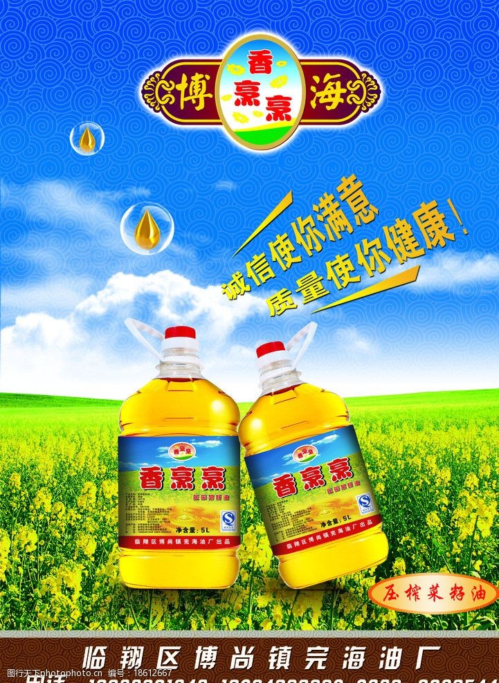 关键词:植物油 菜籽油 油菜花 蓝天 田野 花 食用油 海报设计 广告