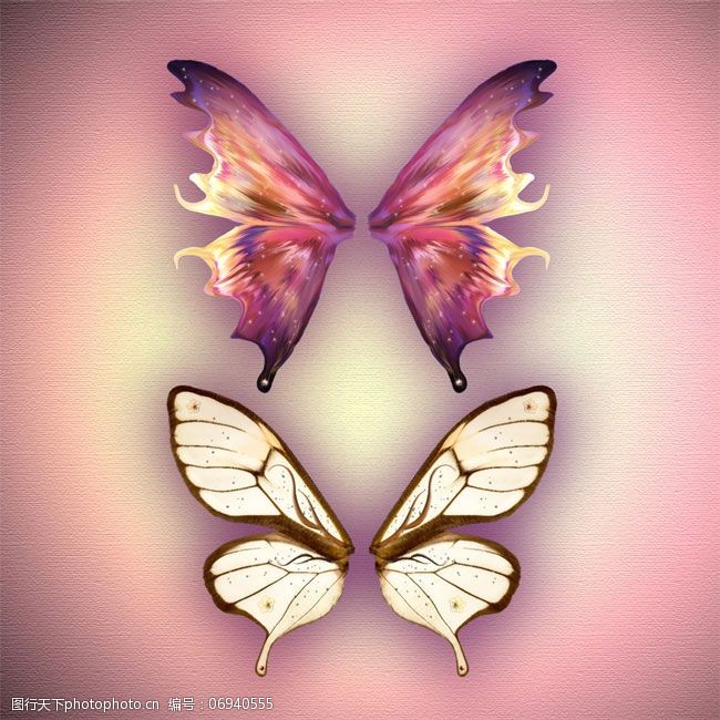 关键词:粉色蝴蝶翅膀素材免费下载 翅膀素材 粉红 蝴蝶 幻彩 梦幻