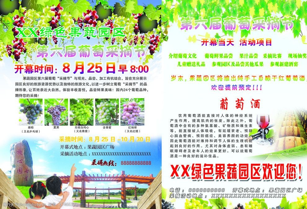 葡萄园单页图片