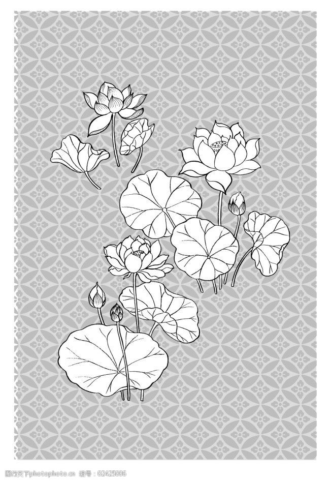 矢量花纹荷花免费下载 荷花 矢量背景 矢量花纹 矢量图 花纹花边